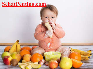 Aneka Buah Untuk Bayi Aneka Buah Untuk Bayi