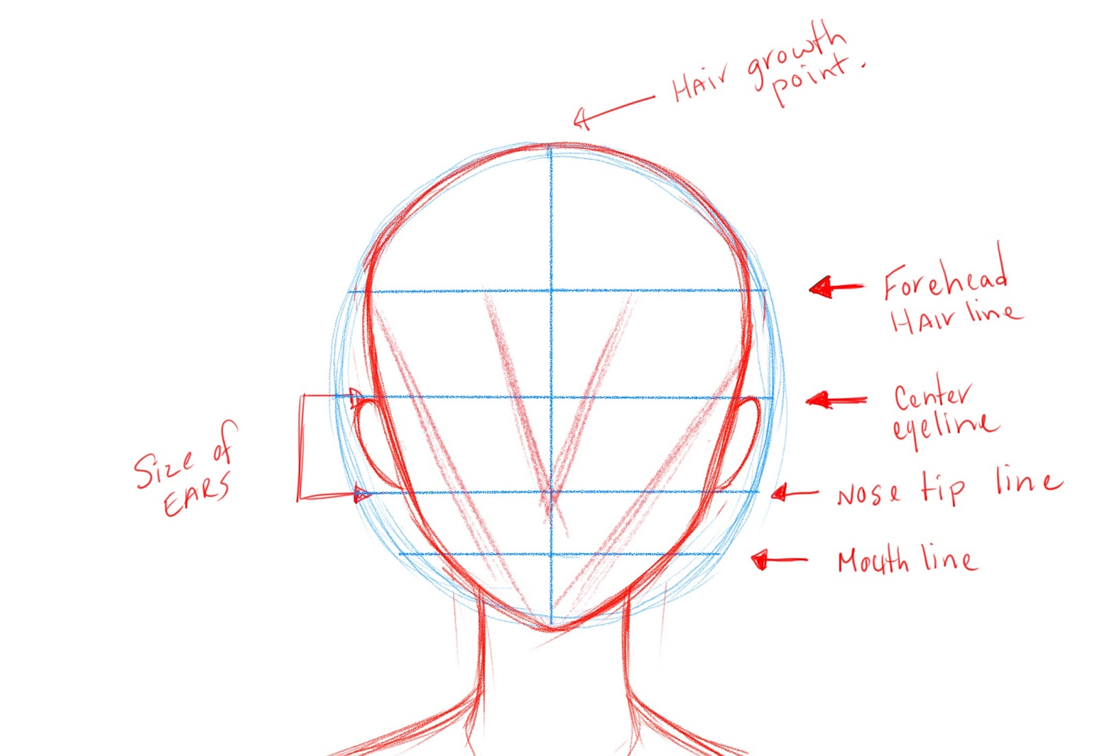 Face Outline Drawing - Viewing Gallery