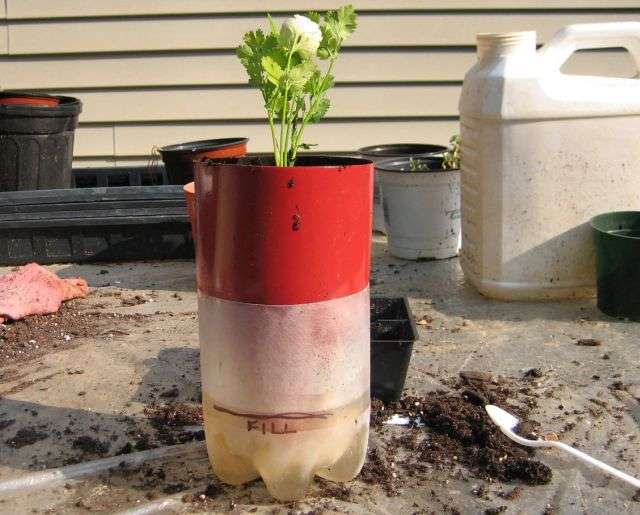 2 liter bottle selfwatering planters