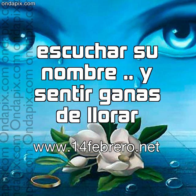 Resultado de imagen de miles de frases punto com