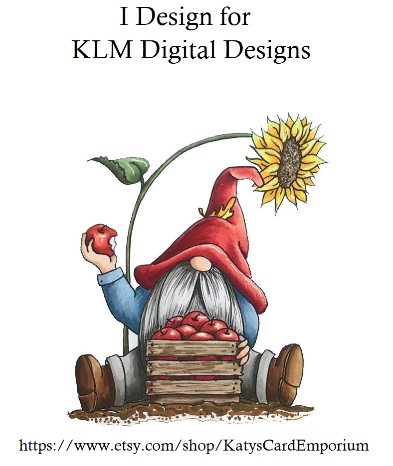 KLM Digital Designs