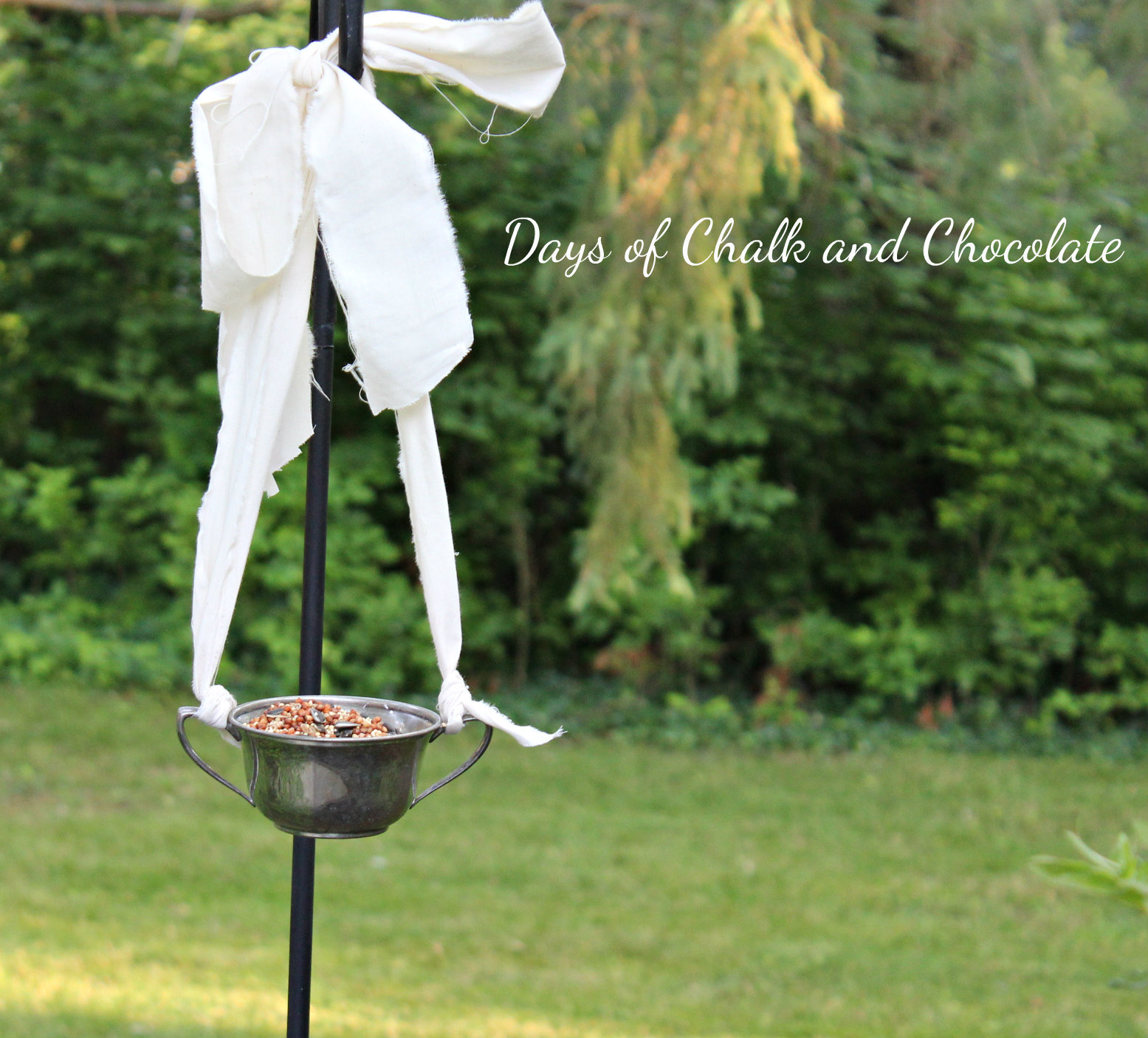 Sugar Bowl Bird Feeder (Plus More DIY Feeders!) Days of Chalk and
