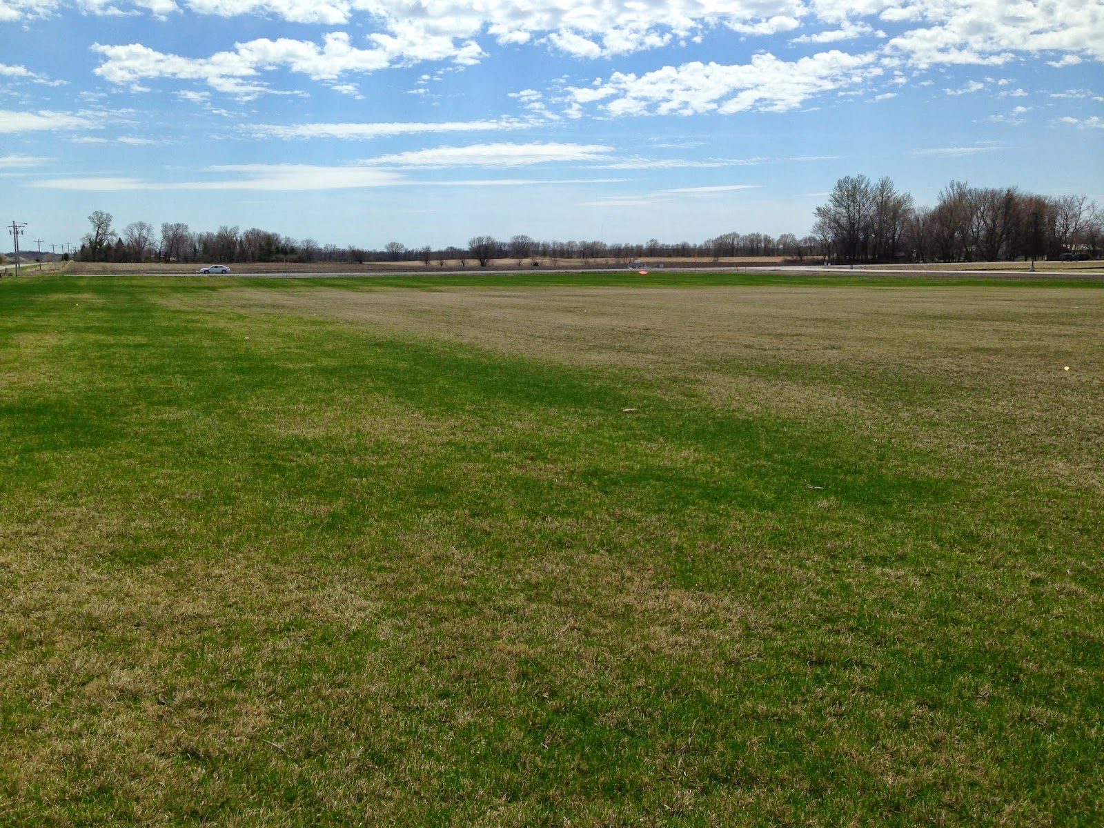 fescue tall greening late spring april field iaturf