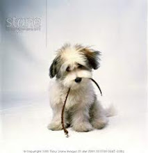 nandhini balakrishnan