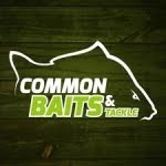 Common Baits