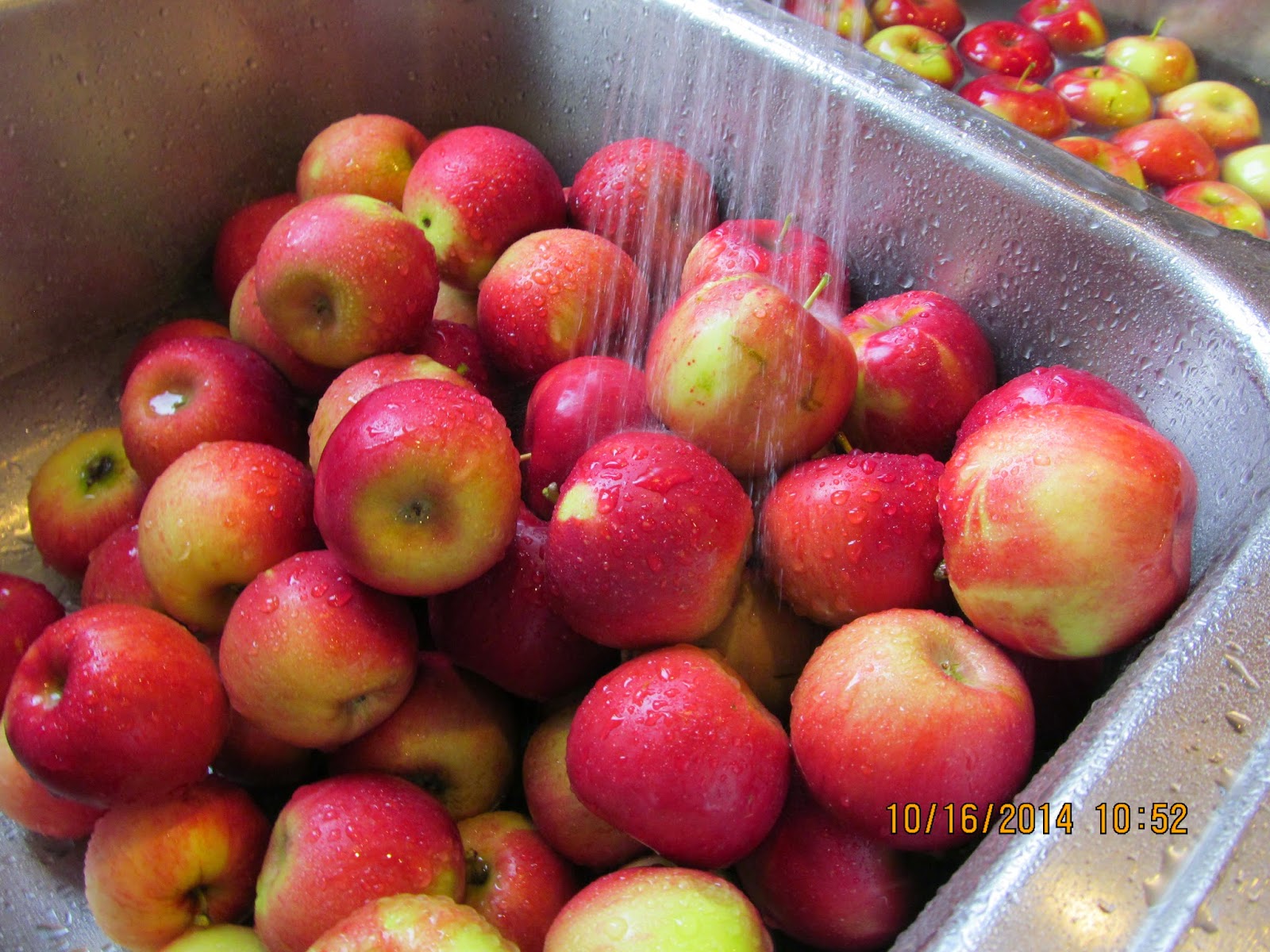 Savings for Sisters Tip of the Week Making Applesauce (Part II)