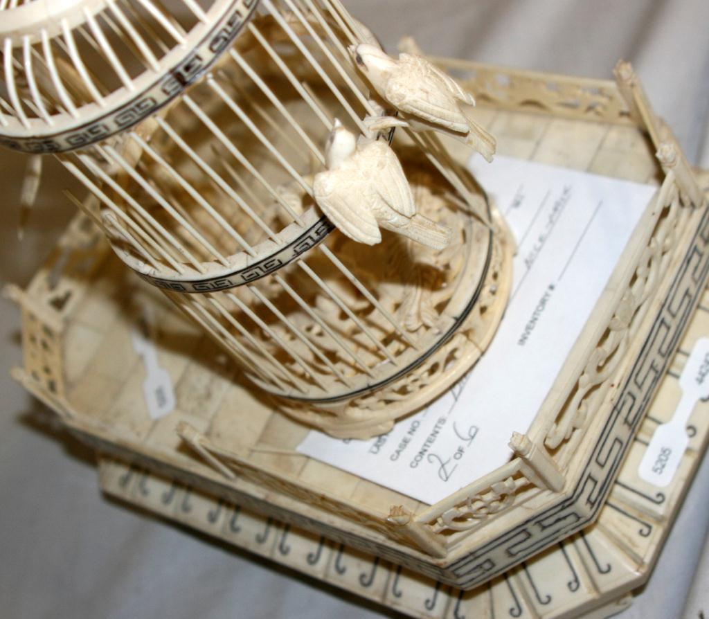 Bird In Everything Hand Made Bird Cages