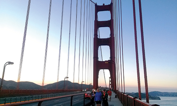 [Image: dibotrencaycausan_02.jpg]