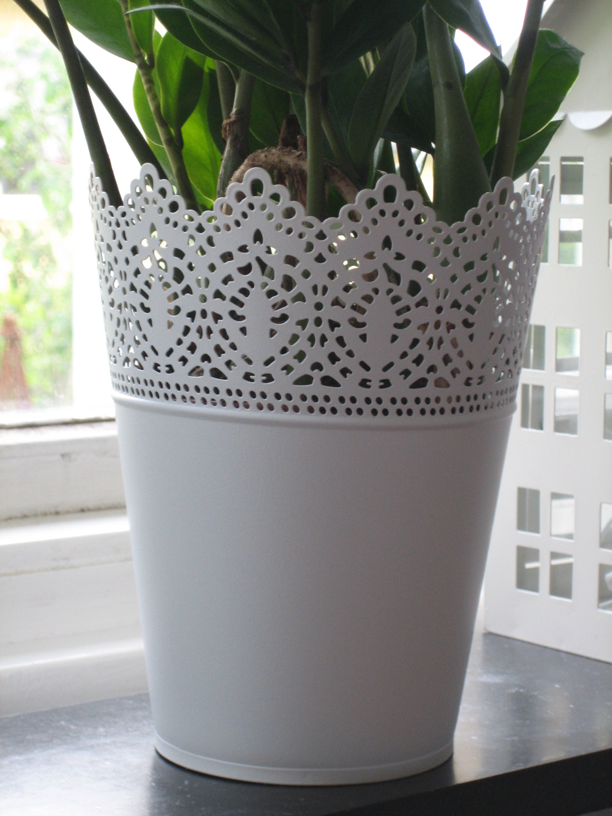Vita huset 28: maj 2011
