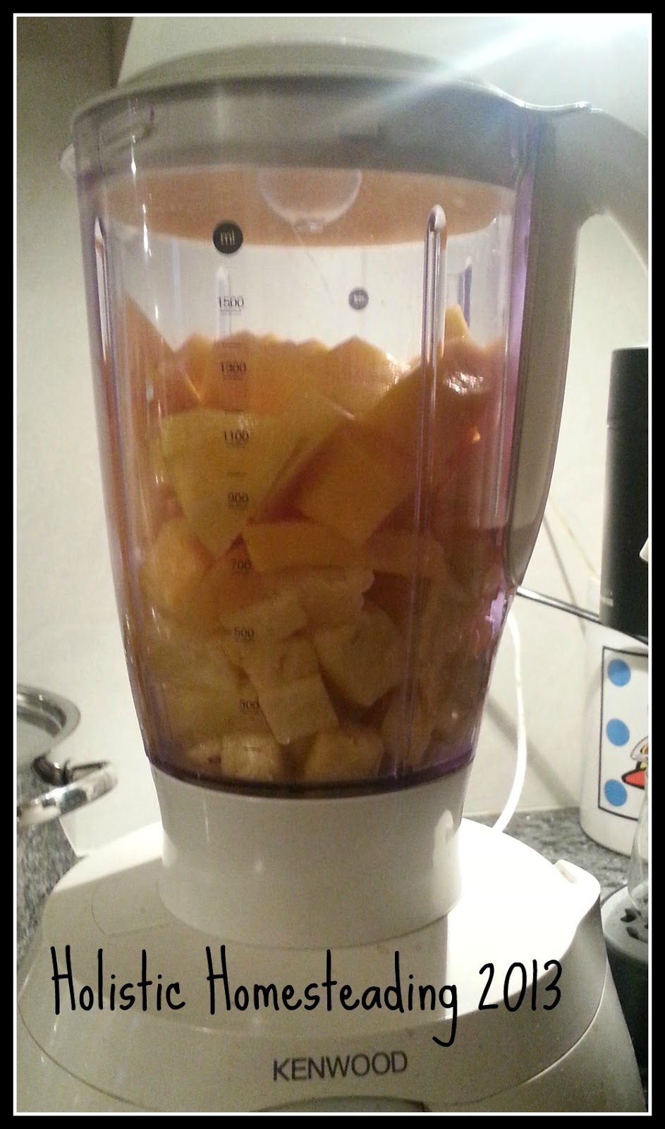 Holistic Homesteading Dehydrator Recipes Mango & Pineapple Fruit Leather