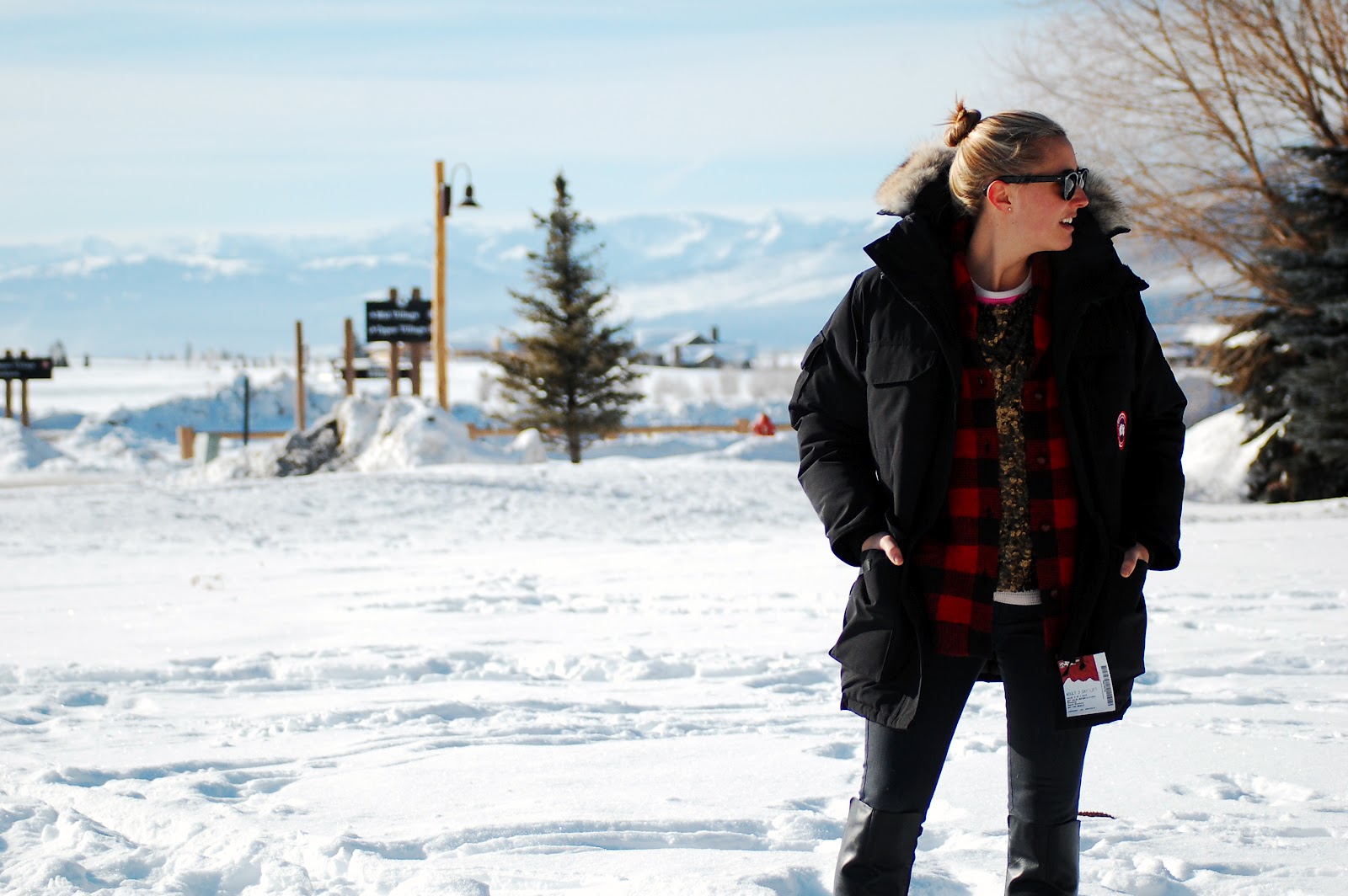Canada Goose jackets replica store - rosenbklyn: Jackson Hole