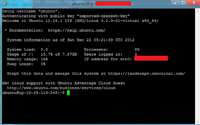 established connection to ec2 instance from Putty.