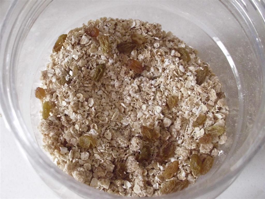 The DoItYourself Mom DIY Easy Peanut Butter Granola