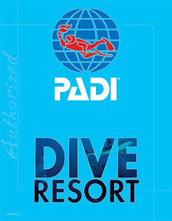 パラオ ダイビング クルーズ PADI Cカード取得 海外旅行 パラオ ダイビング クルーズ PADI Cカード取得 海外旅行