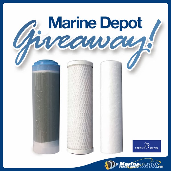 marine depot blog february