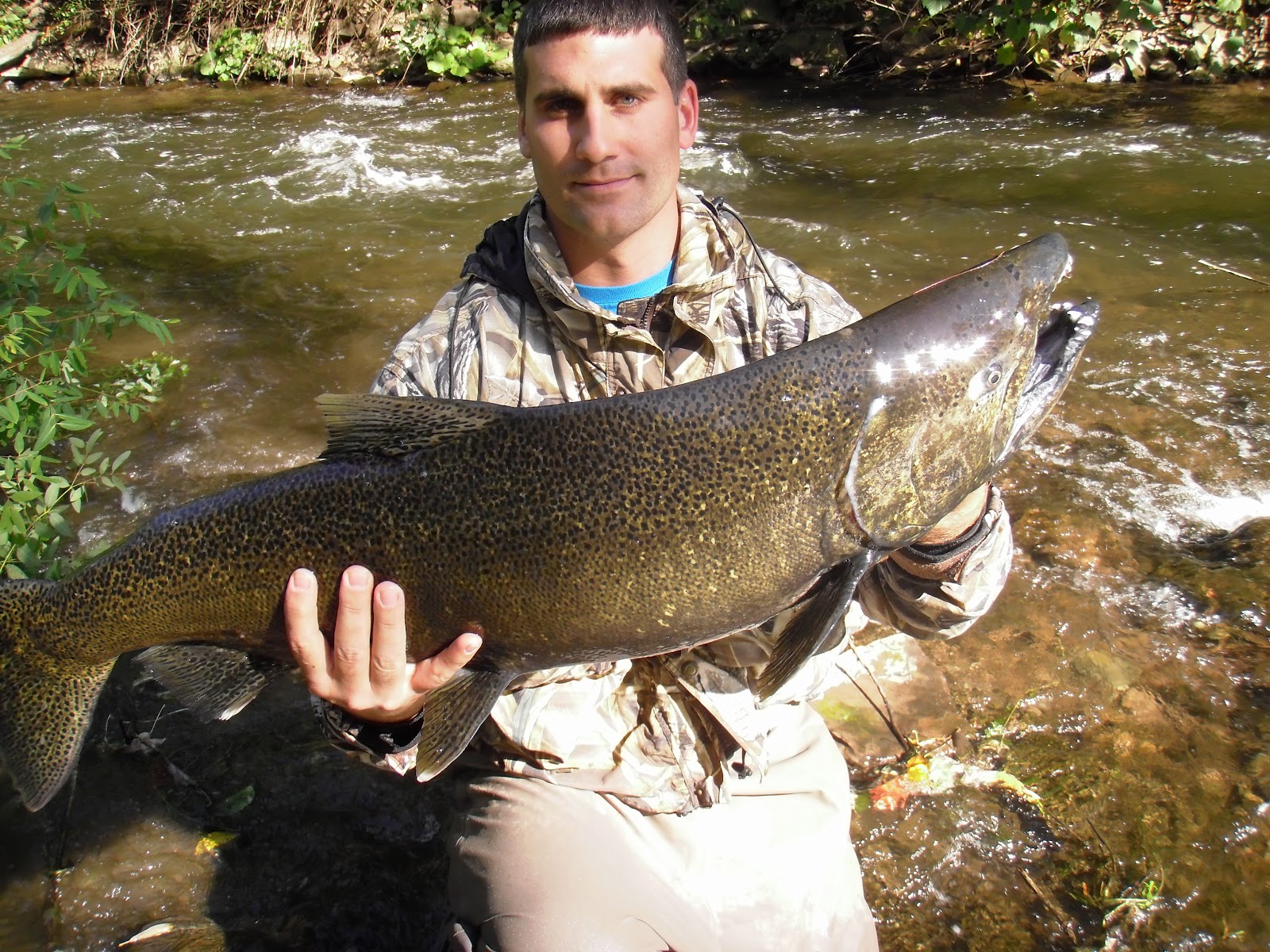 Ohio Fishing Source NY Salmon 2011