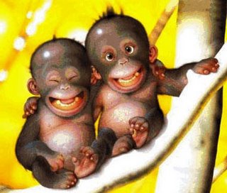 MONOS BEBES Imagen de monos bebés (Abrazo de monos)