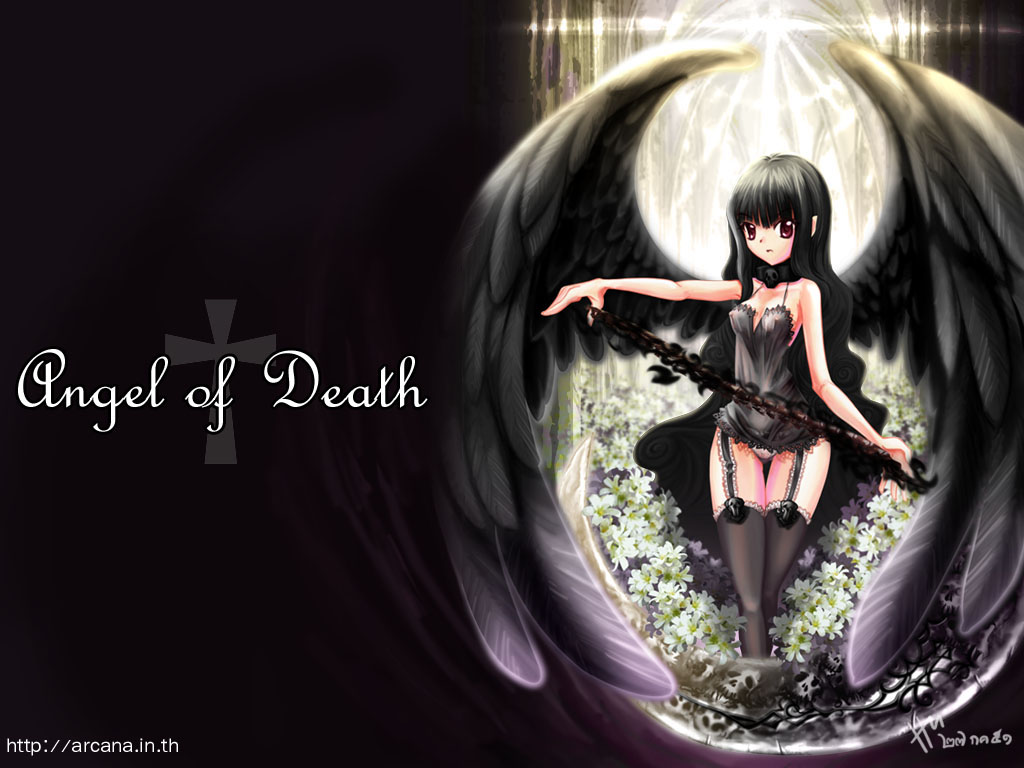 Kinds Of Wallpapers: Anime Angel Of Death Wallpaper