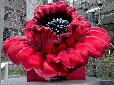 Love and Peace Flower Photo Image