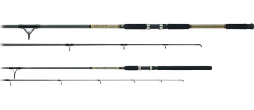 daiwa sealine surf rod