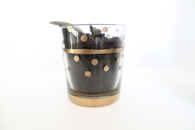 spray paint polkadot plant pot tutorial spray paint polkadot plant pot tutorial