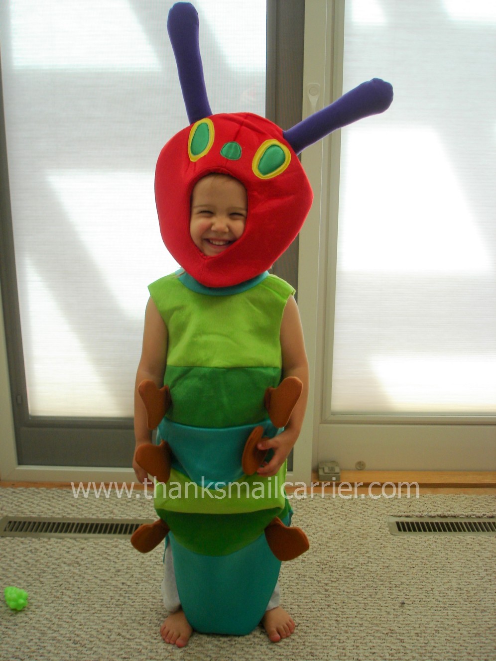 Thanks, Mail Carrier Summer Storybook Costumes The