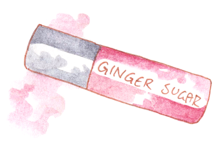 Korean Makeup Review Aritaum Ginger Sugar Tint Balm #1 프레임 로즈