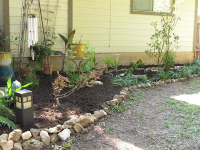 Divasofthedirt,mulched bay laurel bed