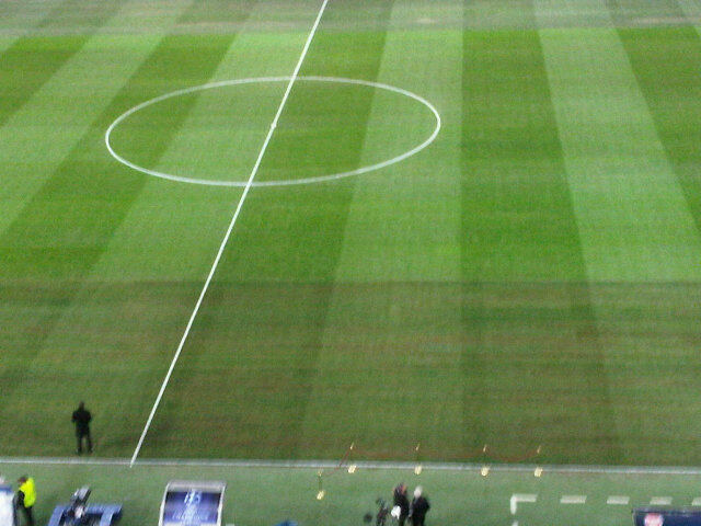 2012_san_siro_pitch.jpg