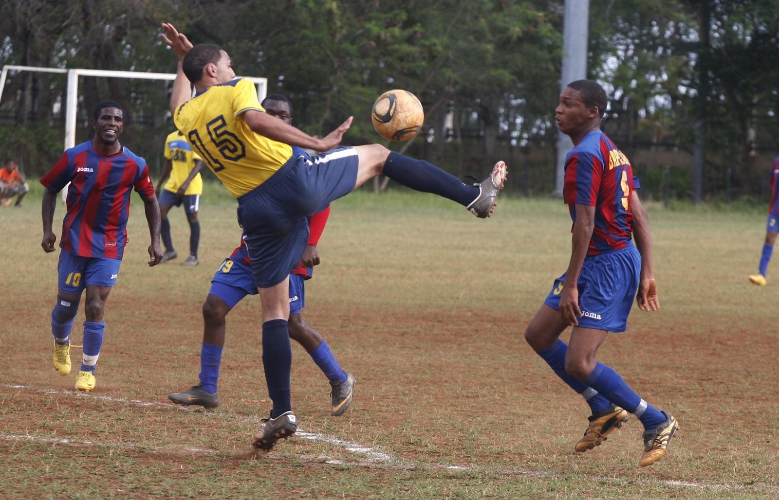 Liga Mayor en gráfica Balompié Dominicano