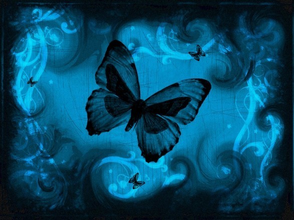 Blue Butterflies Background