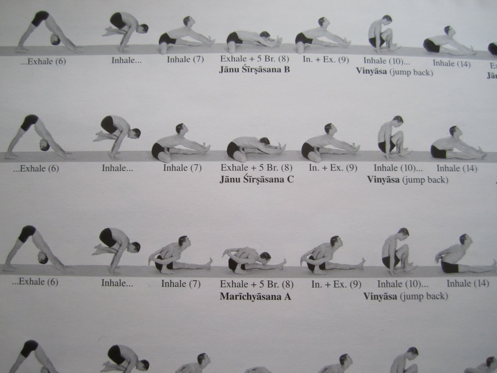 Matthew Sweeney Yoga