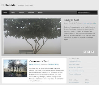Esplanade Free WordPress Theme Esplanade Free WordPress Theme