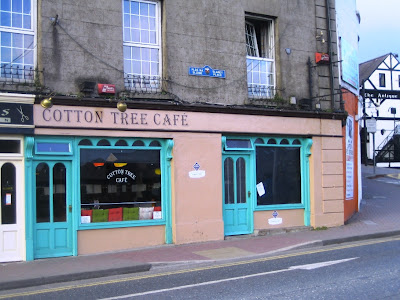 cotton%2Btree%2B001.JPG