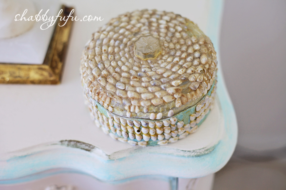 sea shell collecting