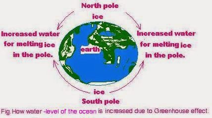 Raising of sea-levels due to Greenhouse effect