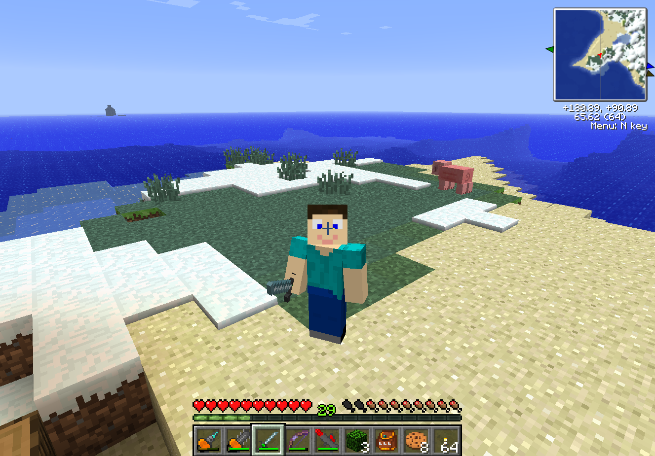 prostitute minecraft skin