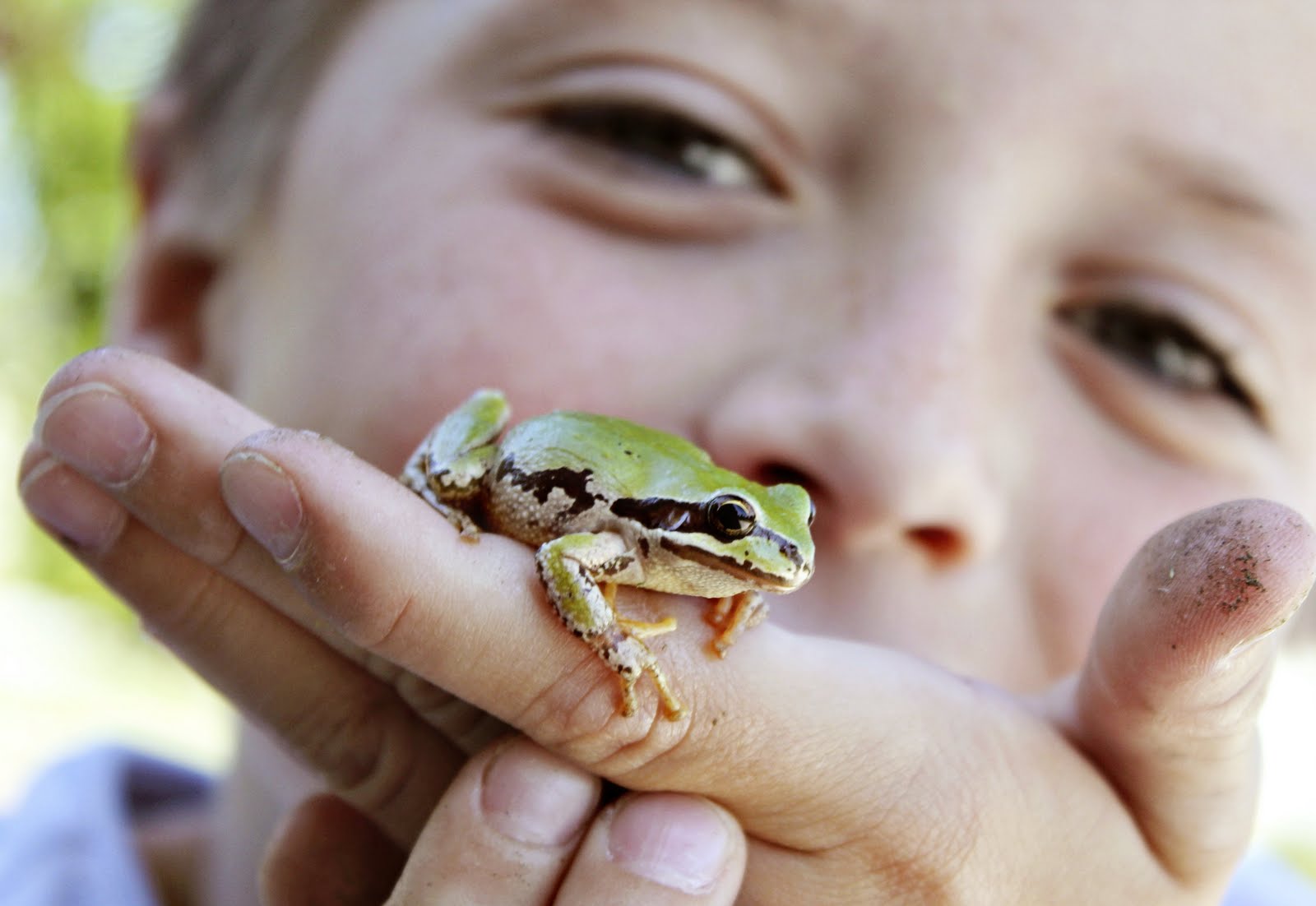 Crafty Sisters FROGS & Garden Art