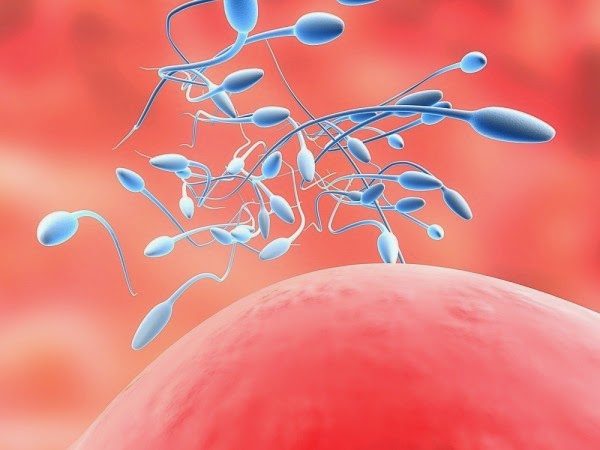 [Image: cai-thien-tinh-trung.jpg]