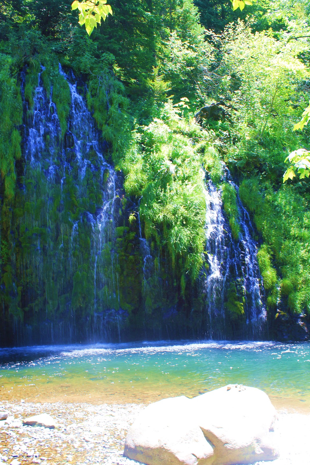 Just Focus Mossbrae Falls, Dunsmuir CA