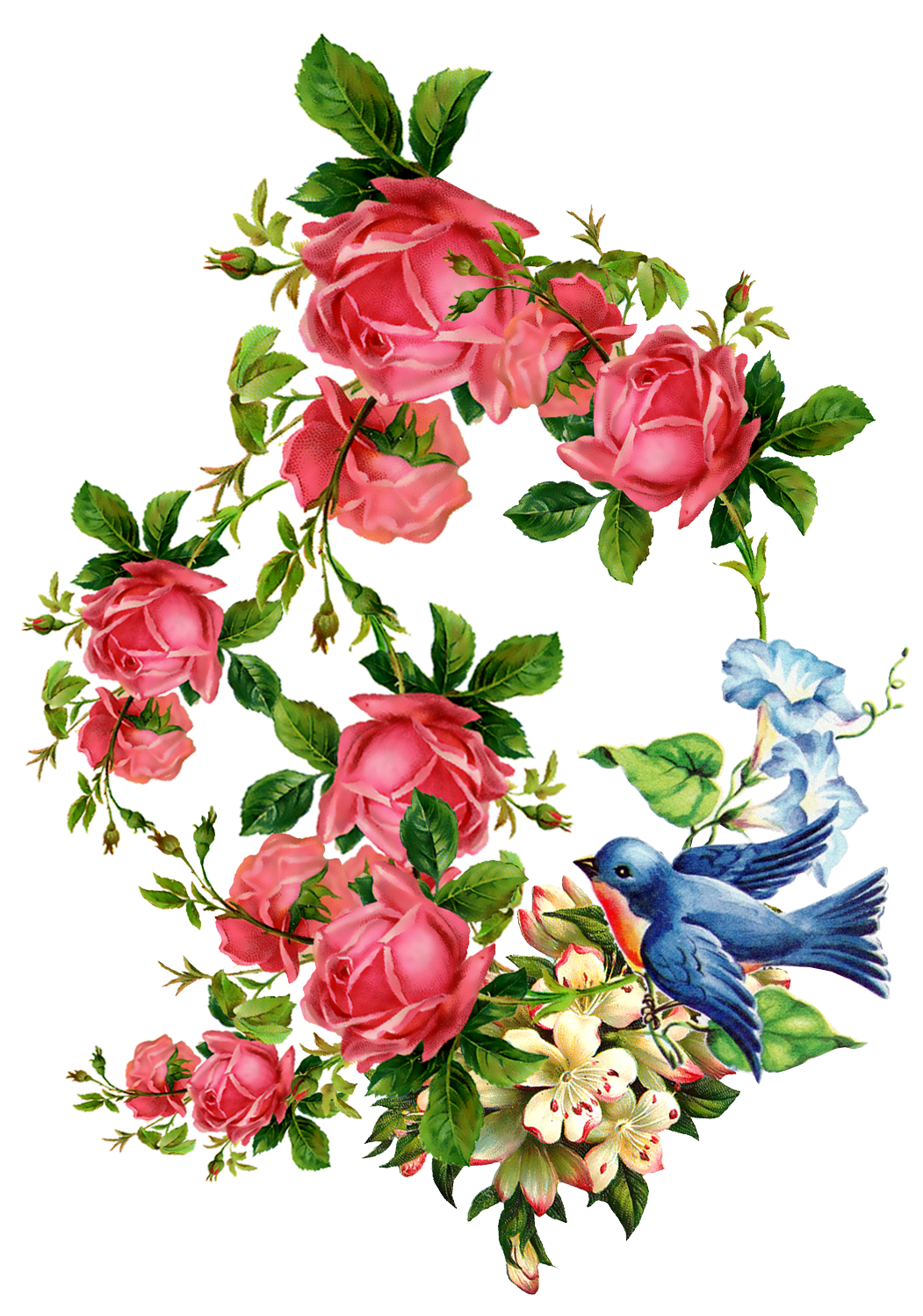 Блог Колибри: PNG Клипарт "Vintage flowers"