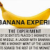 This Is The Banana Experiment And It’ll Leave You With An Important Life Lesson