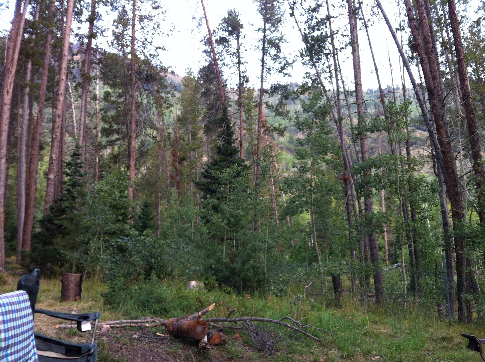 Beer Monday Camping at Smith & Morehouse