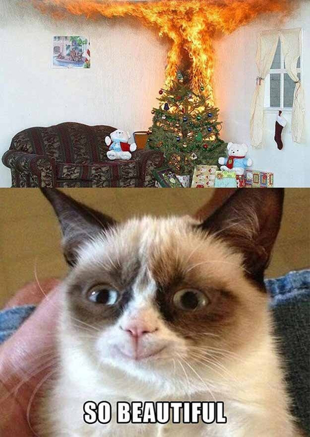 grumpy cat christmas funny collection world grumpy cat burning christmas tree