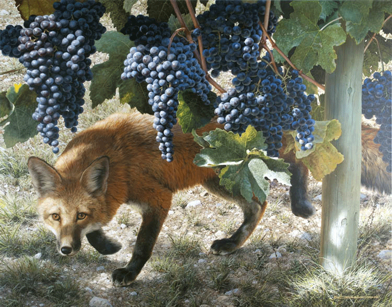 The+Fox+and+the+Grapes.gif