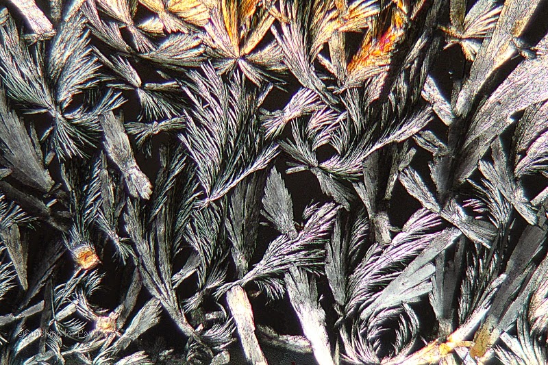 Nystatin crystals under the microscope (magnifiaction 250x). Nystatin crystals under the microscope (magnifiaction 250x).