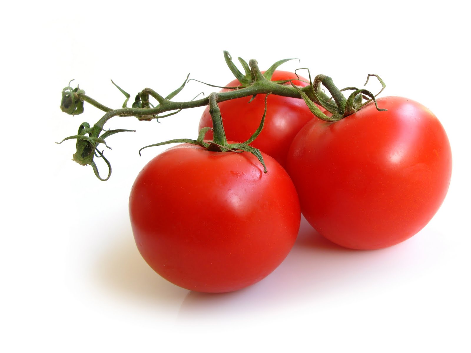 http://4.bp.blogspot.com/-7-E-ex3hZ1Q/TjrCORSmgYI/AAAAAAAAJrc/j9rrJfABqvw/s1600/Juicy+Tomato+High+Resolution+Wallpaper+%25282%2529.jpg