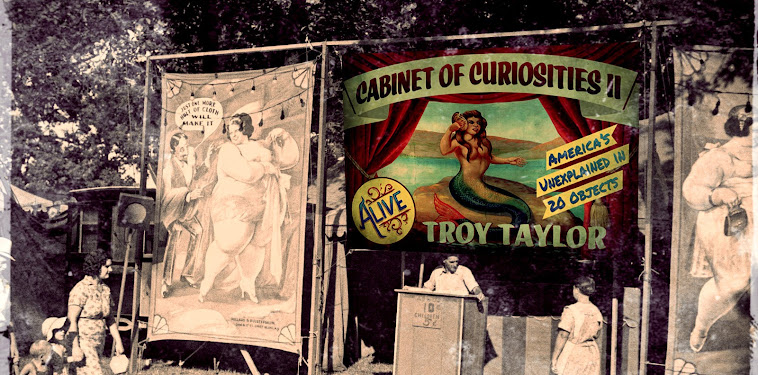 Cabinet Of Curiosities 2 Cabinet Of Curiosities 2