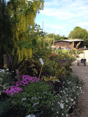 Blackbrooks Garden Centre Cafe Blackbrooks Garden Centre Cafe