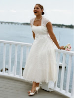 2011 Davids Bridal Plus Size Wedding Dresses Spring Collection